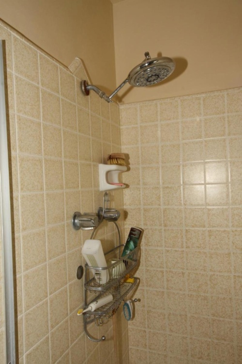 Clean, Kind and Peaceful image 13