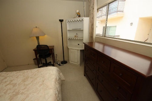 Clean, Kind and Peaceful image 15