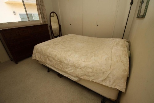 Clean, Kind and Peaceful image 26