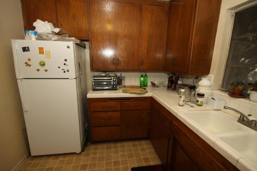 Clean, Kind and Peaceful image 8